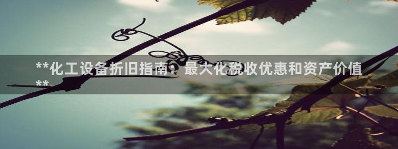 新城平台登录入口官网下载手机版
