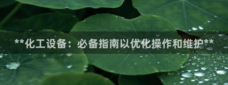 新城平台代理怎么做