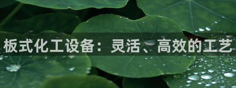 新城平台一新城注册