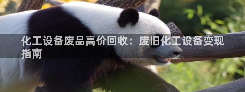 新城平台分分彩