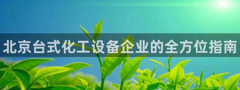 新城平台企业信息查询