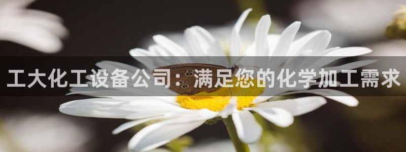 新城平台登录入口网址