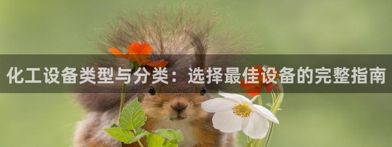 新城平台登录入口官网查询网址