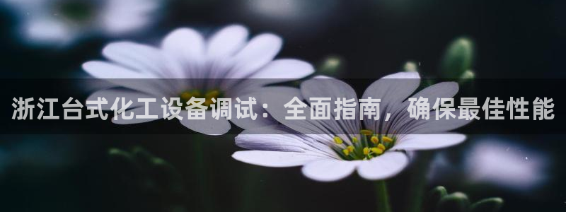 新城平台注册流程及费用
