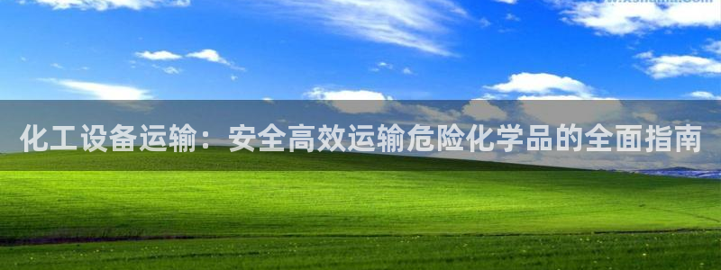 新城平台登录入口网址