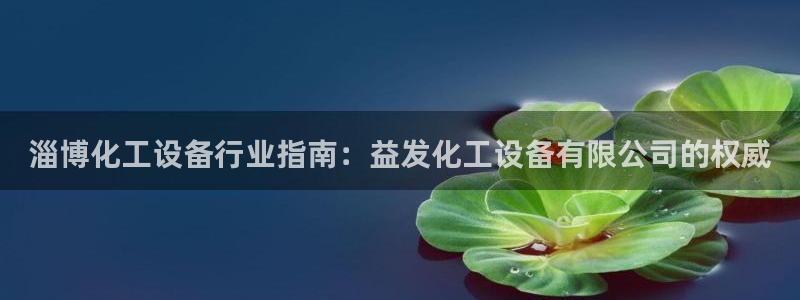 新城平台注册流程图