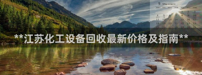 新城平台登录密码忘了