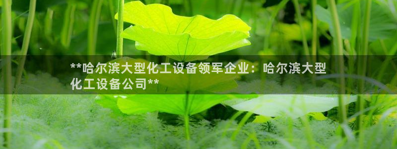 新城平台注册公司流程及费用
