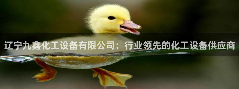 新城平台负责人