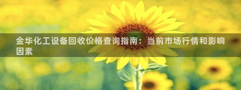新城平台注册流程及费用
