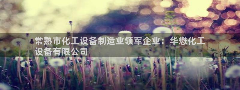 新城平台注册资金多少合适