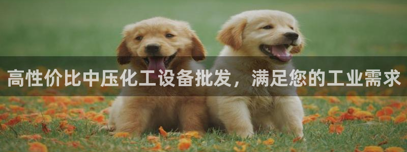 新城平台计7O777