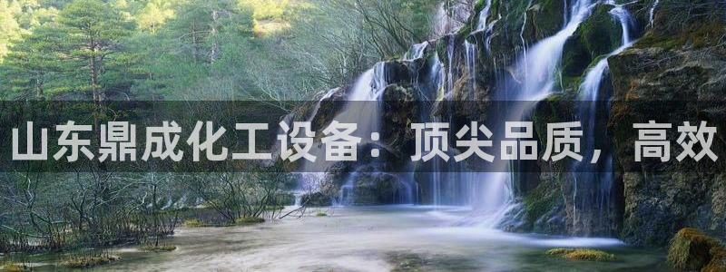新城平台登录入口官网查询系统