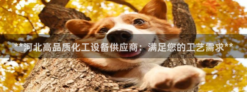 新城平台登录入口官网首页下载