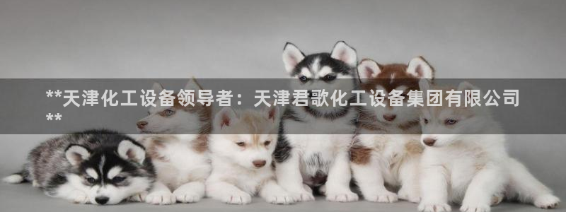新城平台代理电话