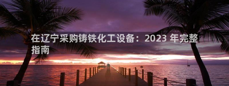 新城平台线路登录不上去