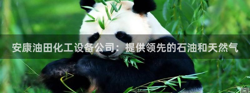 新城平台是正规平台吗