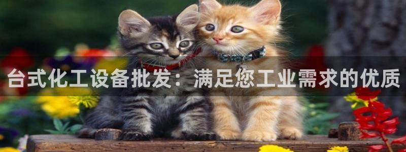 新城平台登录入口官网下载手机版