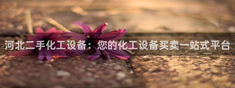 新城平台登录密码忘了怎么办