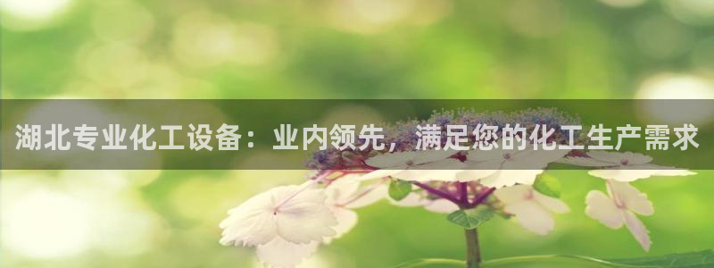 新城平台注册流程