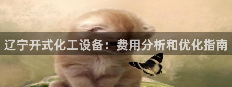 新城平台注册公司流程视频