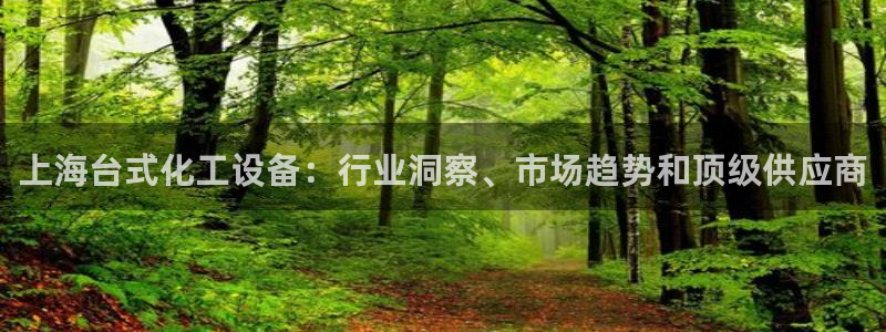 新城平台总代理是谁