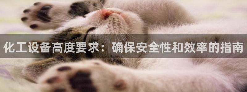 新城平台公司
