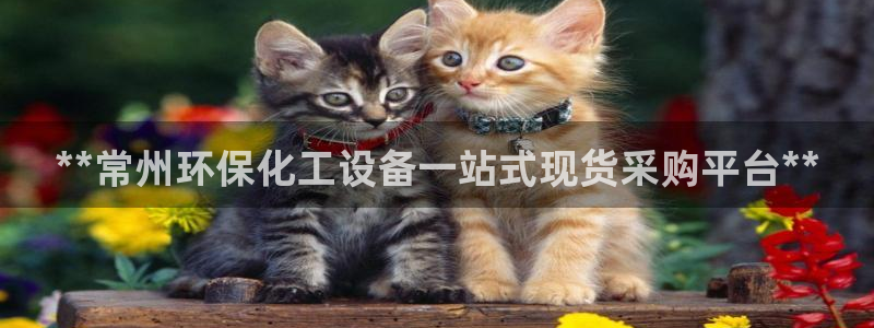 新城平台注册公司流程视频