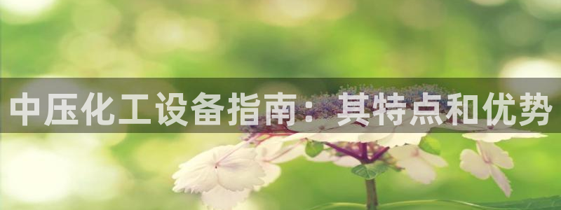 新城平台是干嘛的公司啊