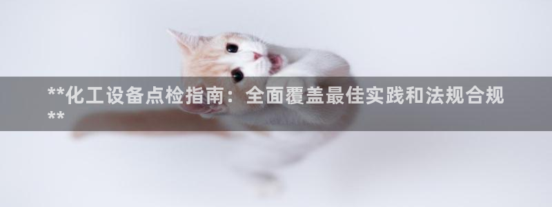 新城平台注册流程及费用