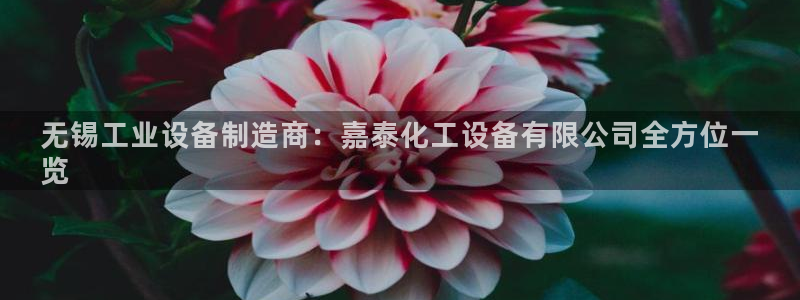新城平台属于哪个系列