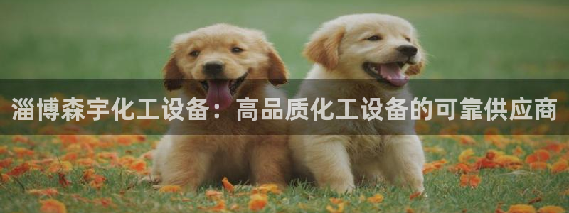 新城平台登录入口官网首页下载