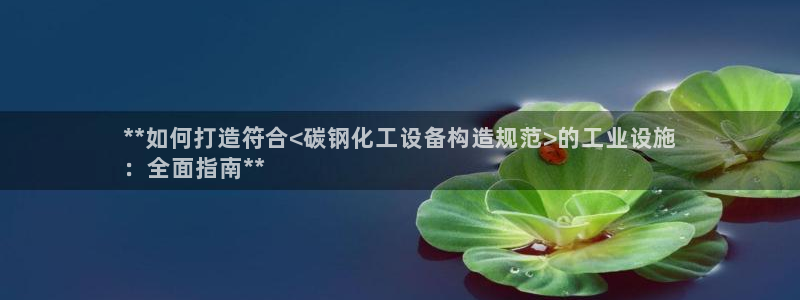新城平台是干嘛的公司