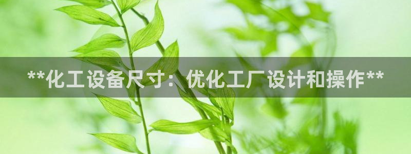 新城平台注册公司流程视频