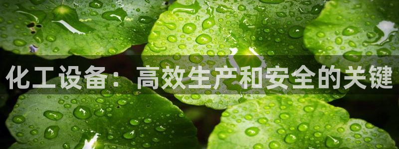 新城平台平台