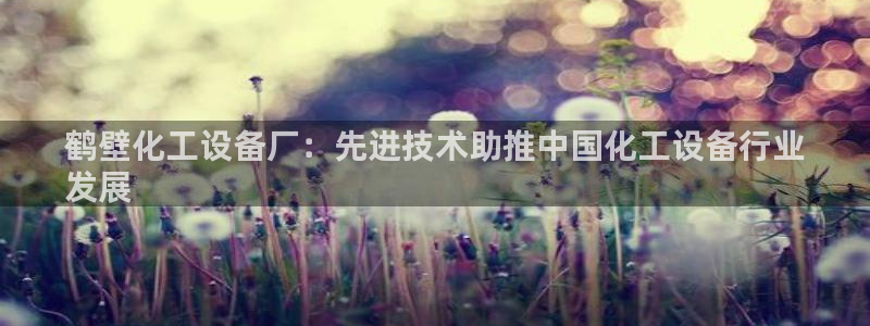 新城平台代理注册公司