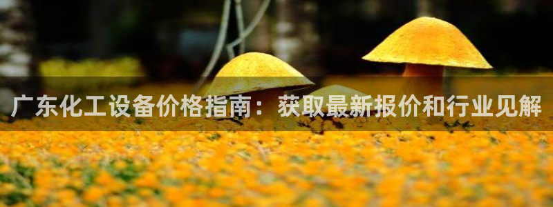 新城平台官网注册