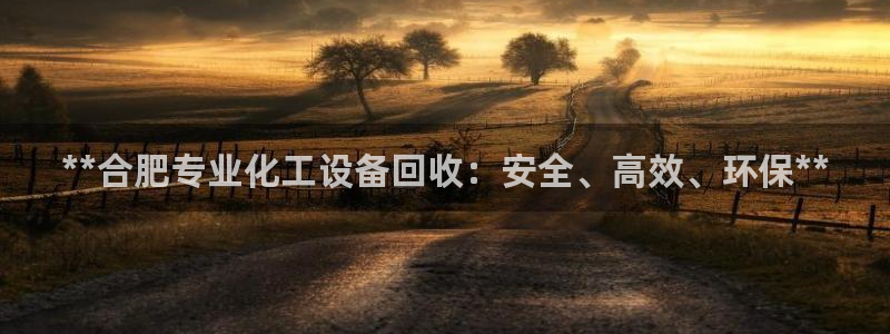 新城平台登录密码忘了怎么办