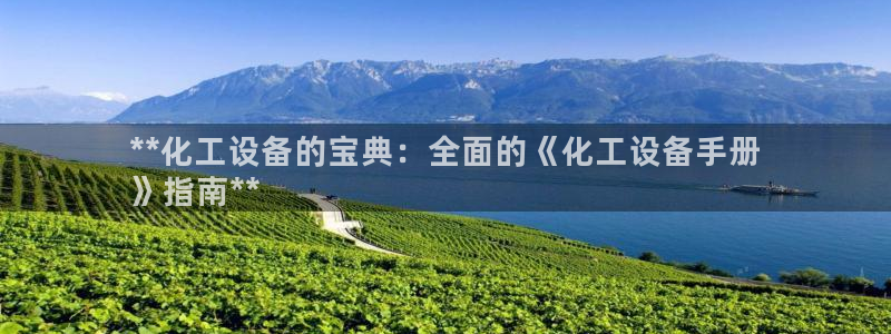 新城平台公司