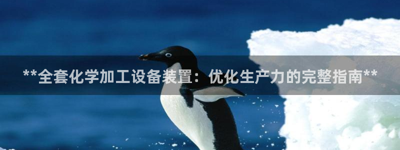 新城平台登录入口官网网址是什么
