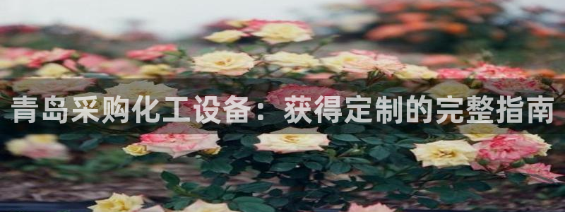 新城平台注册资金多少