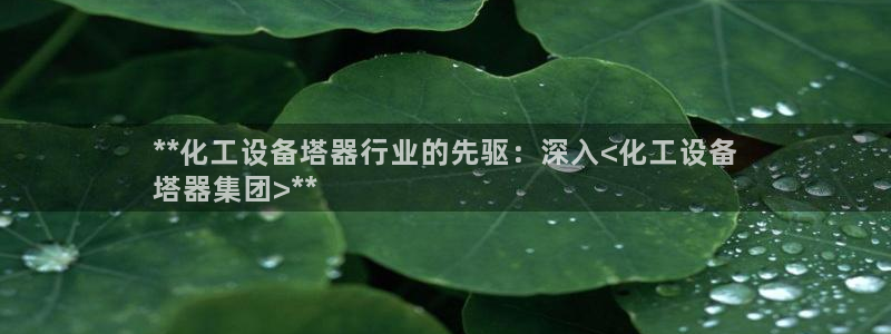 新城平台代理注册条件