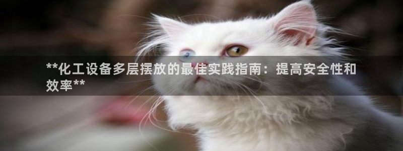 新城平台登录入口官网首页