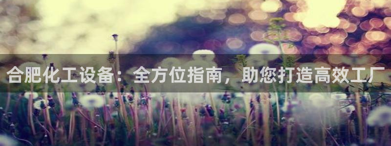 新城平台登录入口官网查询网址