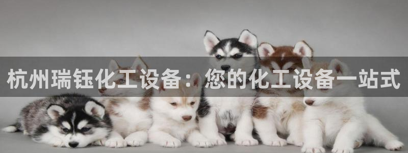 新城平台企业信息查询