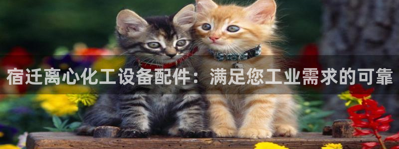 新城平台登录入口官网查询网址
