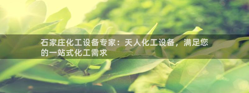 新城平台注册网址查询