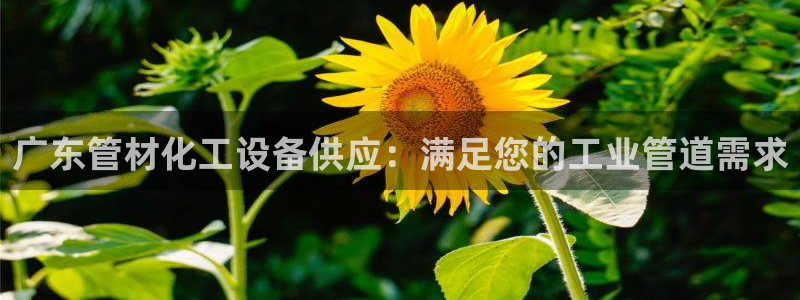 新城平台注册