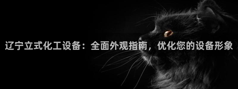 新城平台线路登录不上去怎么办