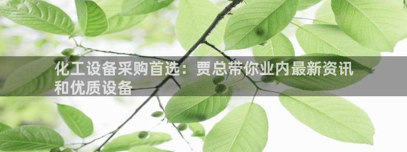 新城平台登录入口